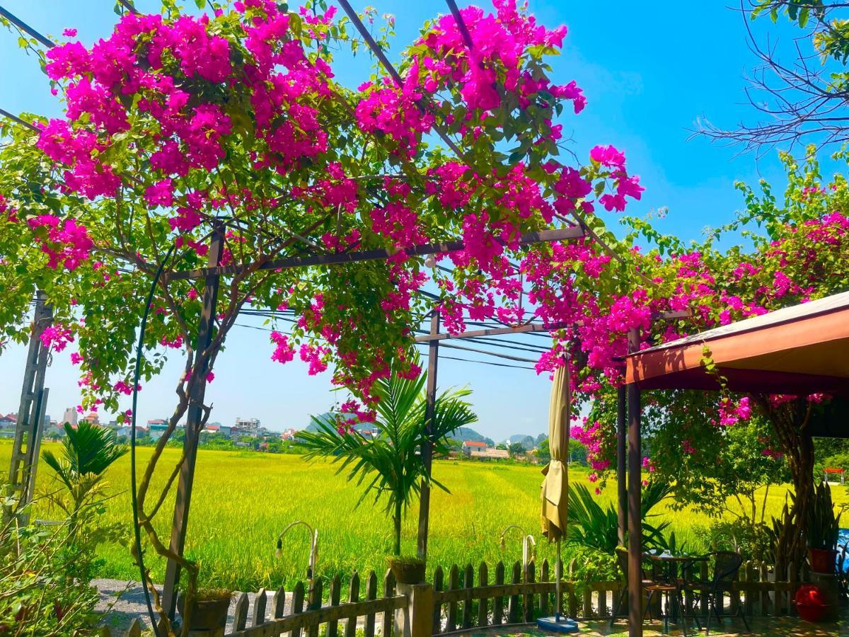 Tam Coc Eco Field Homes Ниньбинь Экстерьер фото